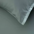 【WEDGWOOD】500織長纖棉Bi-Color薩佛素色 被套枕套組-石墨綠(雙人)
