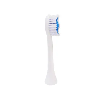 【NETTEC】兒童電動牙刷長柄型專用刷頭(6入)