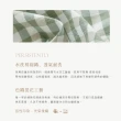 【BELLE VIE】水洗棉 簡約風格 雙人床包被套四件組(贈 冷氣毯x1)