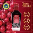 【Terra Del Tuono雷霆之地】巴薩米克醋十年紅標250ml(陳年Aged/義大利/料理醋/頂級醋)