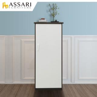 【ASSARI】防潮防蛀塑鋼緩衝單門置物鞋櫃(寬44x深34x高117cm)