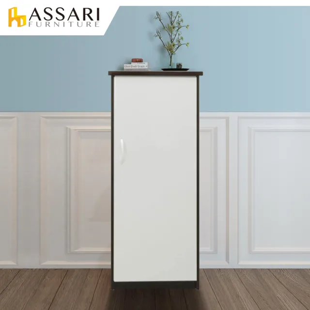 【ASSARI】防潮防蛀塑鋼緩衝單門置物鞋櫃(寬44x深34x高117cm)