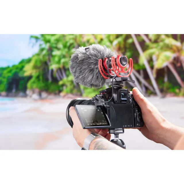 【RODE】羅德 Video Mic / VideoMic GO II 輕型指向性麥克風(公司貨 超心型指向 RDVMGOII)