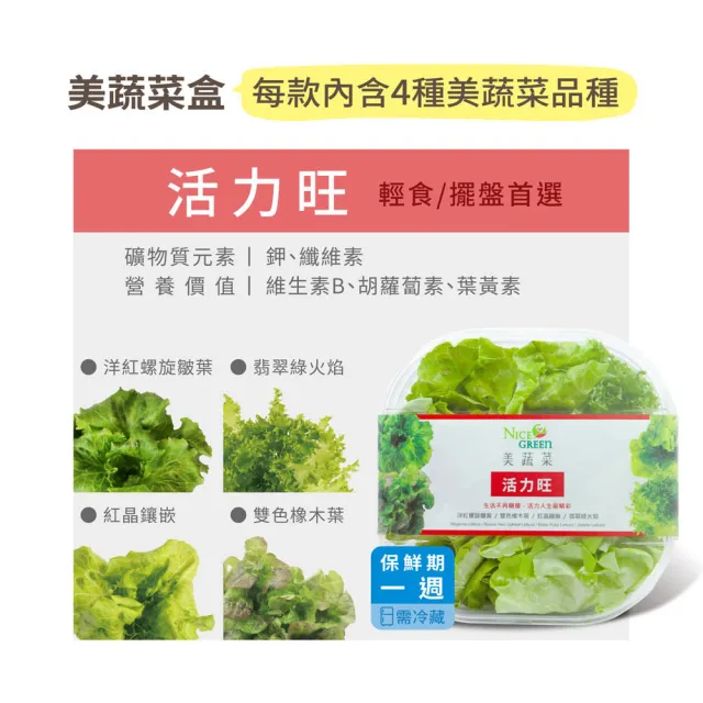 【NICE GREEn 美蔬菜】美蔬菜盒4入含運組送4包沙拉醬(萵苣 生菜 沙拉 蔬菜 防疫健康組)