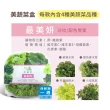 【NICE GREEn】美蔬菜盒6入免運組送6包沙拉醬(萵苣 生菜 沙拉 蔬菜 防疫健康組)