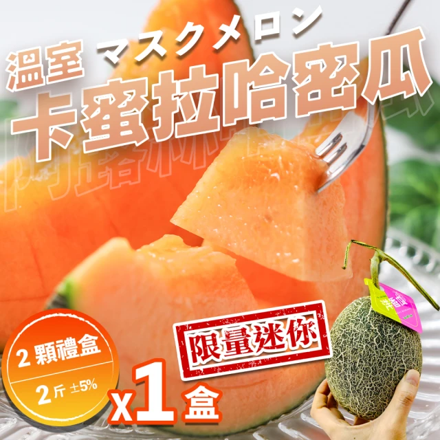 果之家 台南七股超甜爆汁網紋紅肉哈密瓜10台斤(約6-12顆
