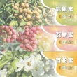 【真豐巢】100%台灣純蜂蜜3000g/桶 任選(龍眼/荔枝/百花)