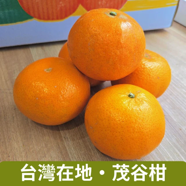 橘之緣 台中東勢23A茂谷柑17斤禮盒x1箱(約60~63顆