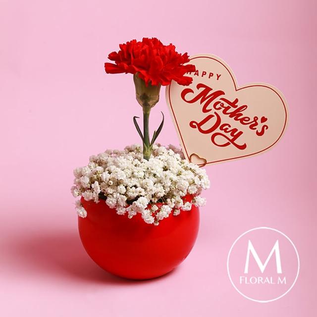 Floral M Coco Lady 胭脂紅單隻康乃馨鮮花盆花禮 母親節 康乃馨 花禮 買花 送禮 鮮花