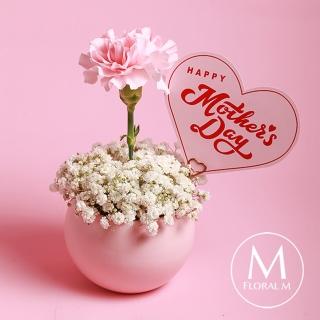 【Floral M】Pinky Lady 蜜桃粉單隻康乃馨鮮花盆花禮(母親節/康乃馨/花禮/買花/送禮/鮮花)
