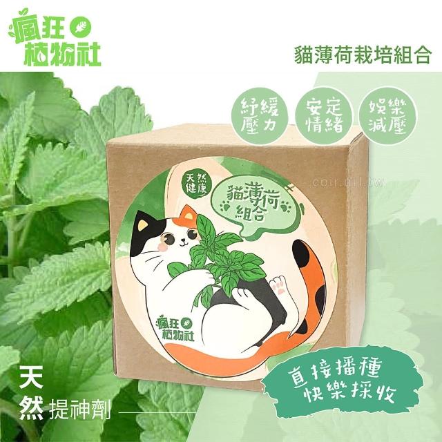 【瘋狂植物社】貓薄荷栽培組合(天然健康、荊芥種子、貓薄荷、貓草、貓零食)