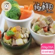 【T.N.A. 悠遊系列】極鮮包系列-天然食材添加保健品的寵物鮮食-210g×20入組-犬貓通用(寵物鮮食)