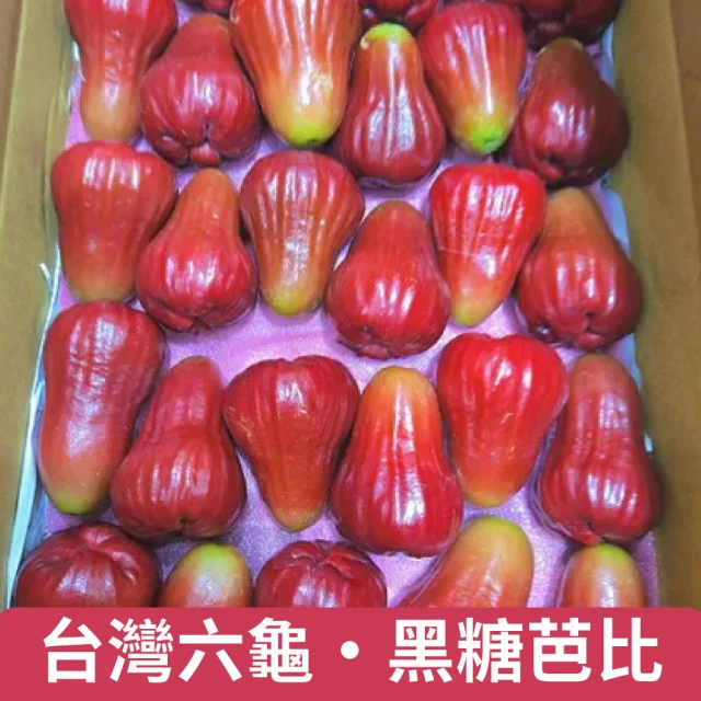 禾鴻 外銷級蜜風鈴紫蜜蓮霧5斤x2箱(120g-139g/顆