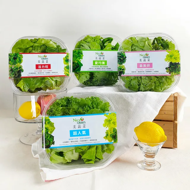【NICE GREEn 美蔬菜】美蔬菜4盒+舒肥雞6包+藥膳湯包4包(生菜 沙拉 舒肥雞 藥膳 湯包)