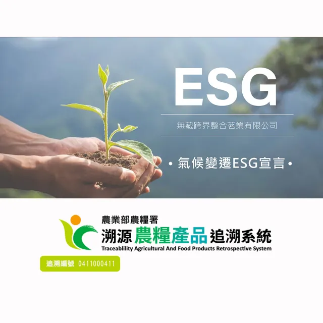 【無藏茗茶】X臺南400 聯名限定款 風華台南 綜合款璀璨茶禮盒(金萱紅茶+金萱綠茶+金萱烏龍/附提袋)