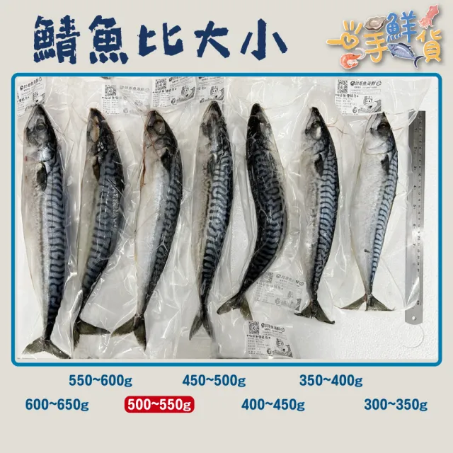 【一手鮮貨】無鹽整尾挪威鯖魚(5尾組/單尾600g-650g/鯖魚)