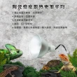 【petpetzone】爬蟲保溫燈罩-8.5吋(爬蟲類/兩棲類/小動物適用E27規格燈泡)