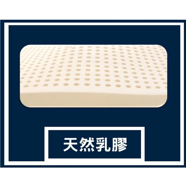 【圓夢小築】天然乳膠獨立筒床墊(標準雙人5尺－伊蓮)