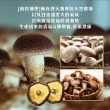 【初品果】正宗台灣南投埔里香菇x1袋(大香菇_直徑約5-10cm以上)