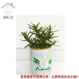 【蔬菜工坊】iPlant易開罐花卉-迷迭香