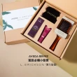 【AVEDA】AVEDA X L. ERICKSON 聯名禮盒(內含彈力髮圈/蘊活頭皮精華/護色鎖色精華/隨行按摩梳)