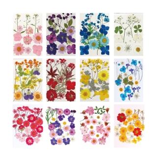 【WARM DAY LIFE】2入組 精緻款 真花壓花 乾燥花 蠟燭 滴膠 押花 DIY水晶滴膠(書籤 多款可選 植物標本)