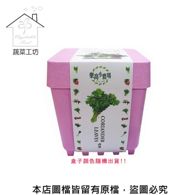 【蔬菜工坊】iPlant小農場系列-香菜