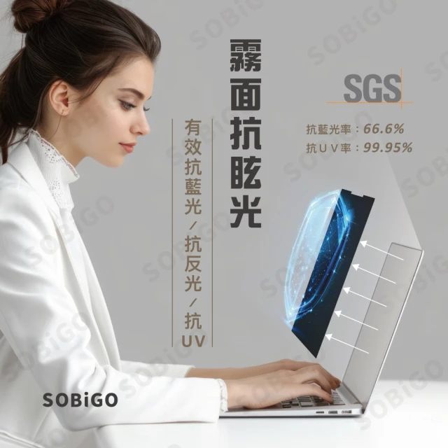 SOBiGO 17.3吋通用抗藍光抗反光磁吸防窺片 台灣品牌SGS(APPLE筆電不適用)