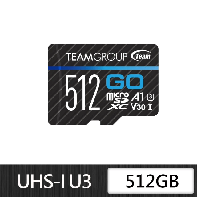 Wise 裕拓 256GB SDXC UHS-II V90 