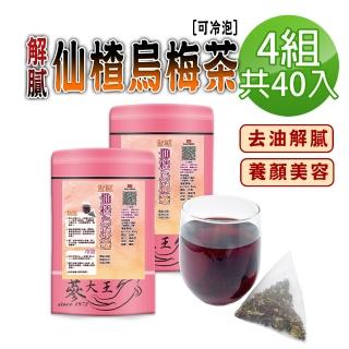 【參大王】解膩仙楂烏梅茶包X4組（6gX10入/組）(長效期版 山楂幫助消化 洛神花養顏美容 清涼解渴 可冷泡)