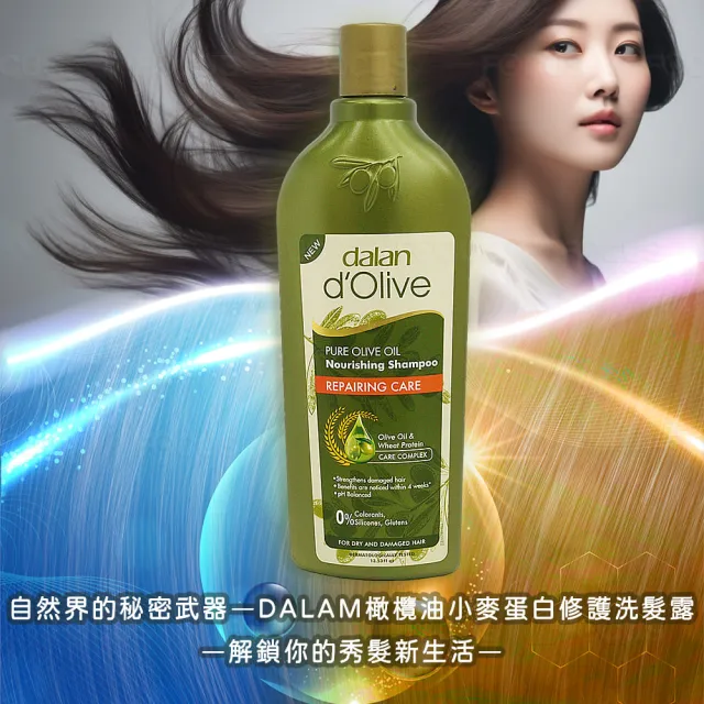 【Dalan達蘭】土耳其原裝頂級橄欖油小麥蛋白修護洗髮露400ml*6(乾燥/受損)