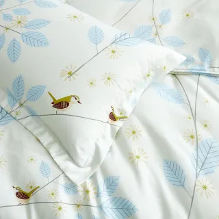 【MIT iLook】台灣製 絲絨棉歐式壓框枕套1入(多款可選)