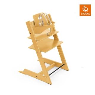 【STOKKE 官方直營】Tripp Trapp成長椅6m+入門組合-櫸木(兒童/餐椅/學習椅)