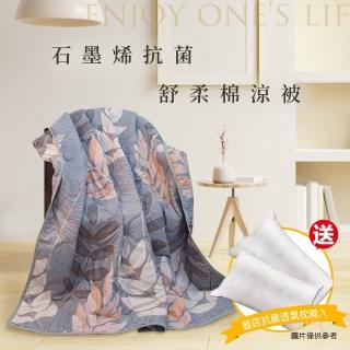 【DeKo岱珂】贈飯店抗菌枕2入 買一送一 石墨烯舒柔棉抗菌被/四季被/棉被(多款花色 150*195cm)