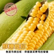 【海肉管家】鮮凍玉米粒(共2kg_1kg/包)