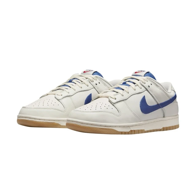 NIKE 耐吉 休閒鞋 Dunk Low Retro Hoo