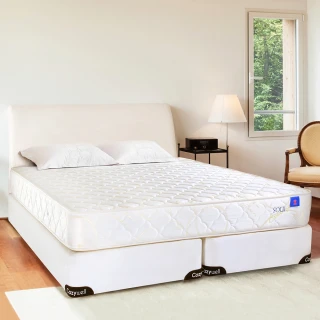 【德泰 索歐系列】奢華900 彈簧床墊-單人3尺(送保潔墊)