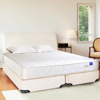 【德泰 索歐系列】雅致620 彈簧床墊-單人3.5尺(送保潔墊)