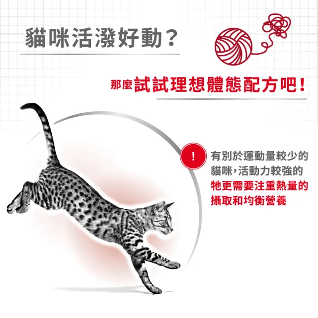【ROYAL 法國皇家】理想體態成貓專用飼料F32 15KG(添加化毛配方 貓乾糧)