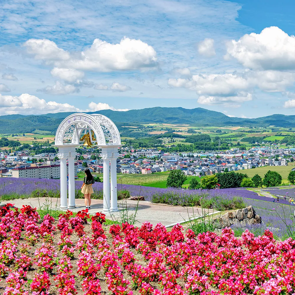 【喜鴻假期】【夏日HIGH翻北海道5日】富良野、薰衣草花鐘、企鵝遊行、哈密瓜螃蟹★升等留壽都