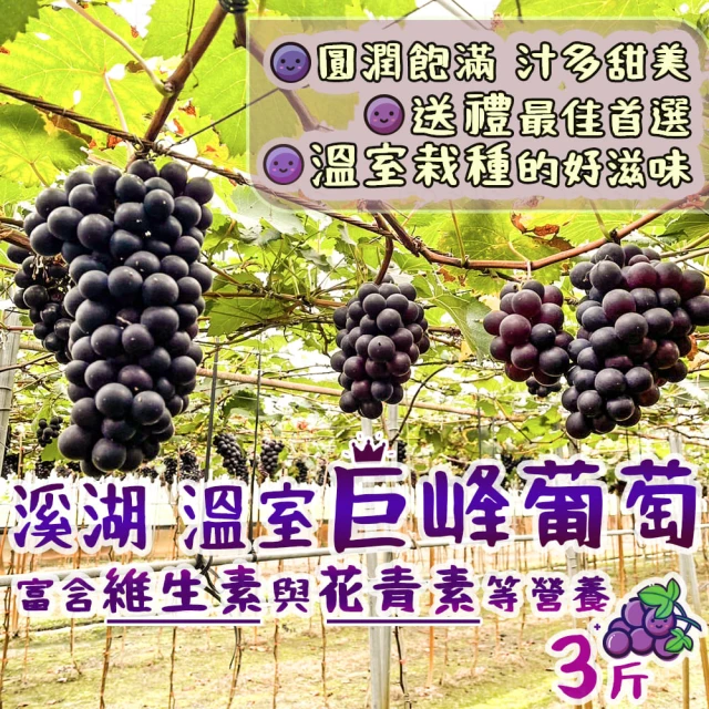 仙菓園 台灣在地 溫室巨峰葡萄 整箱原裝 約5kg±10%(