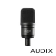 【AUDIX】A131 電容式麥克風(公司貨)