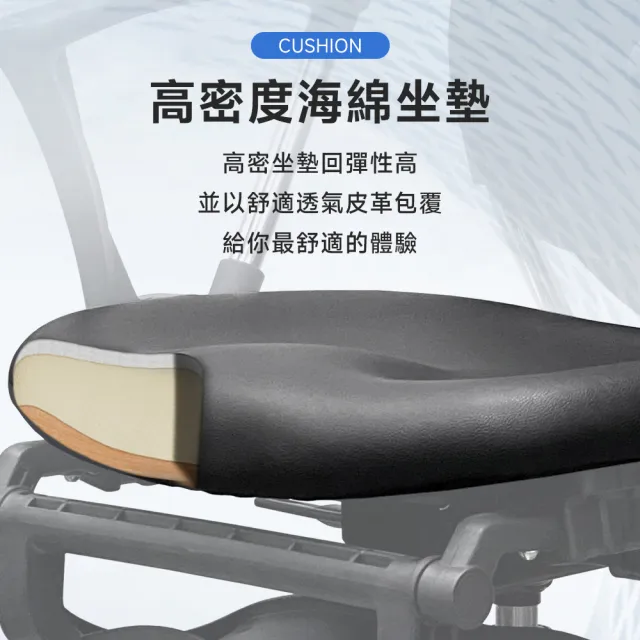 【C-FLY】雙背護腰人體工學電腦椅頂級版(電腦椅/辦公椅/人體工學椅/椅子/主管椅/會議椅/躺椅)