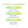 【LOTUS】台灣製避震緩衝超慢跑墊1.2公分 豪華3件組(緩衝降噪超慢跑墊2入+無線跳繩1入)