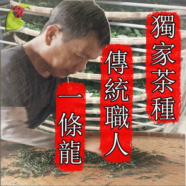 【鑫龍源】杉林溪清香甘醇翠嫩有機烏龍綠茶葉(50g/罐x5罐;有機綠茶;生青茶;無焙火;無發酵;附提袋)