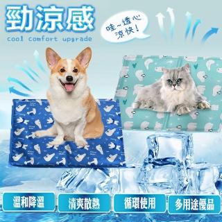 【DTW】日式沁涼寵物冰涼墊-2入(買一片送一片)