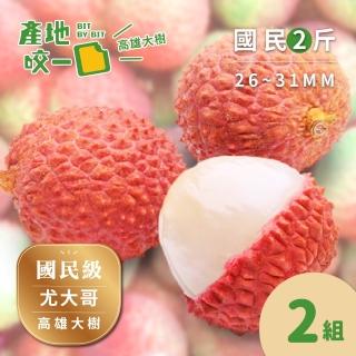 【Bit By Bit 產地咬一口】國民級高雄大樹玉荷包2斤箱2組(每箱1斤約38-42顆 每顆26-31mm)