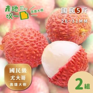 【Bit By Bit 產地咬一口】國民級高雄大樹玉荷包5斤箱2組(每箱1斤約38-42顆 每顆26-31mm)