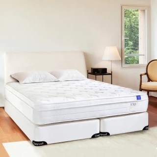 【德泰 索歐系列】乳膠獨立筒 彈簧床墊-單人3.5尺(送緹花枕)