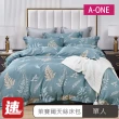 【A-ONE】速達 台灣製 吸濕排汗天絲枕套床包組(單人 多款任選)